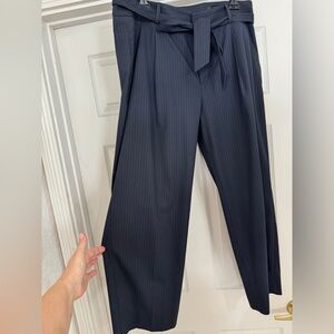 Banana Republic Dark Blue Wide Leg Pants